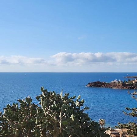 Petit Paradis Vue Mer- Plage Et Calanques A 3 Mn Saint-Raphaël Exteriör bild