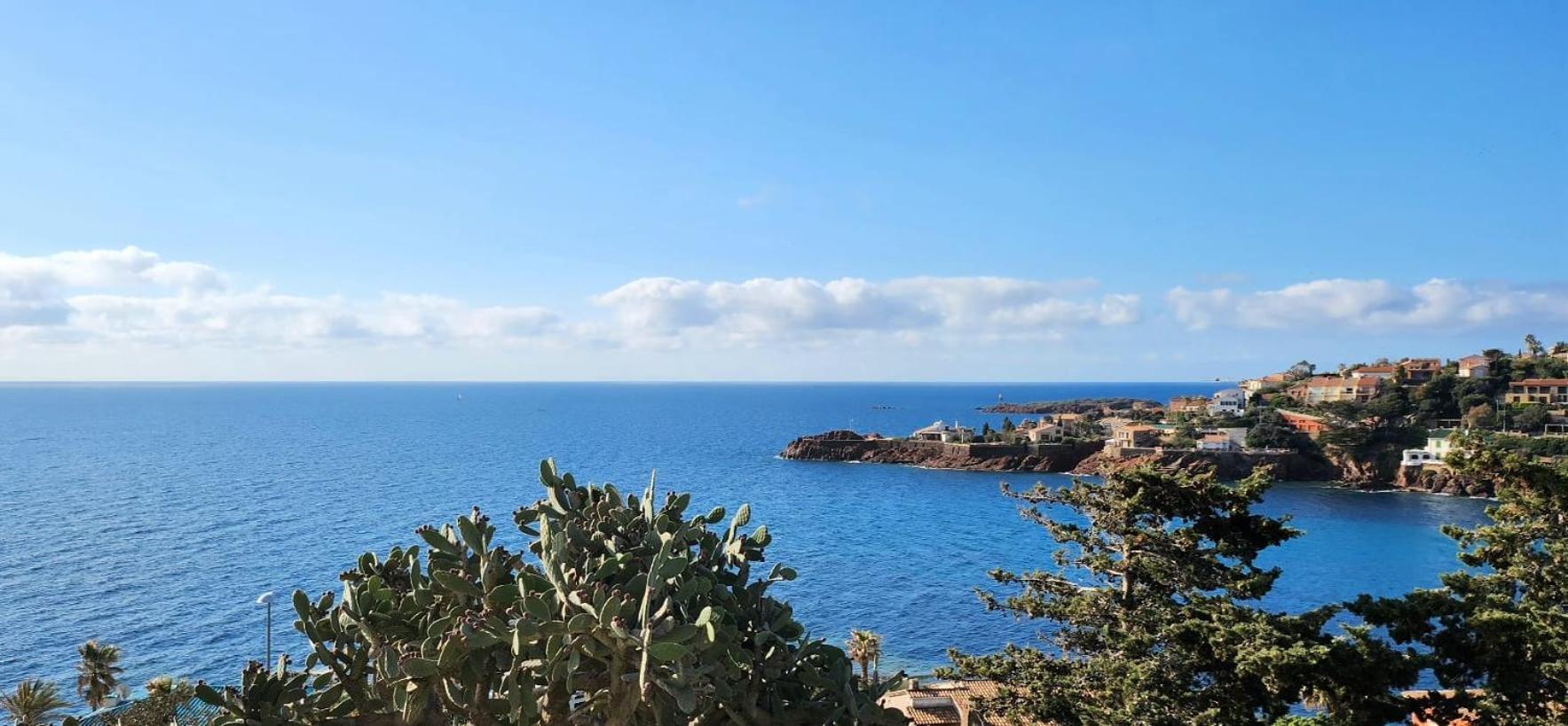 Petit Paradis Vue Mer- Plage Et Calanques A 3 Mn Saint-Raphaël Exteriör bild